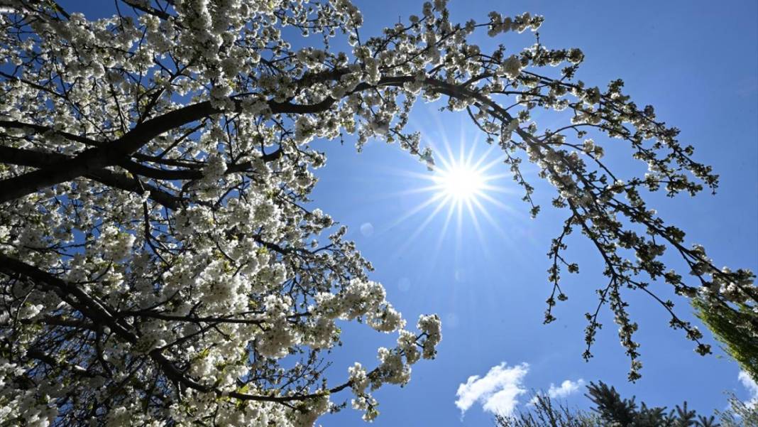 Gaziantep Botanik Bahçesi'nde ilkbahar tefekkürü 10
