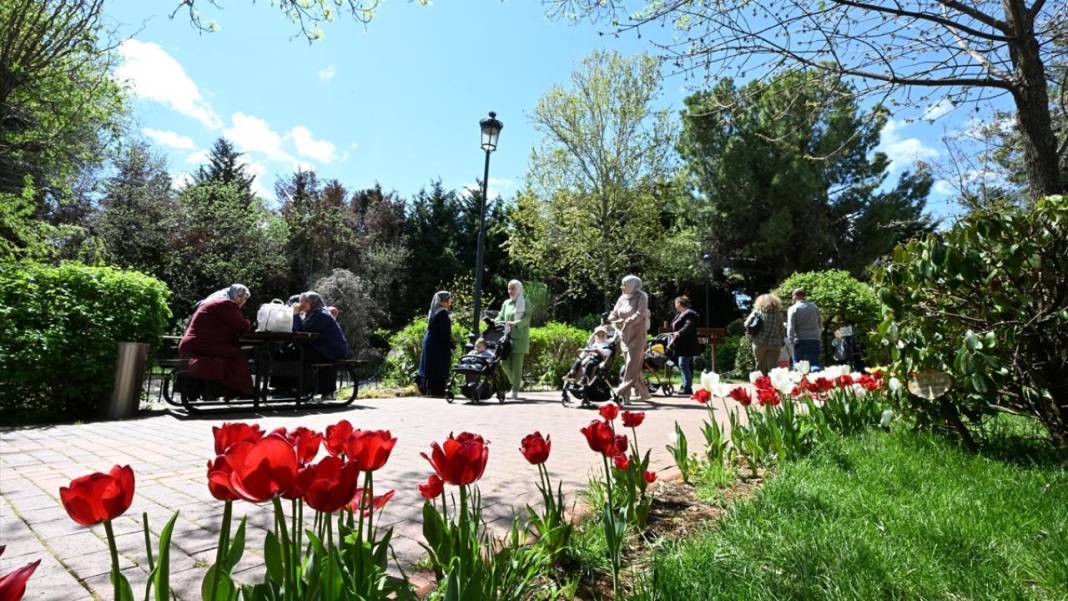 Gaziantep Botanik Bahçesi'nde ilkbahar tefekkürü 12