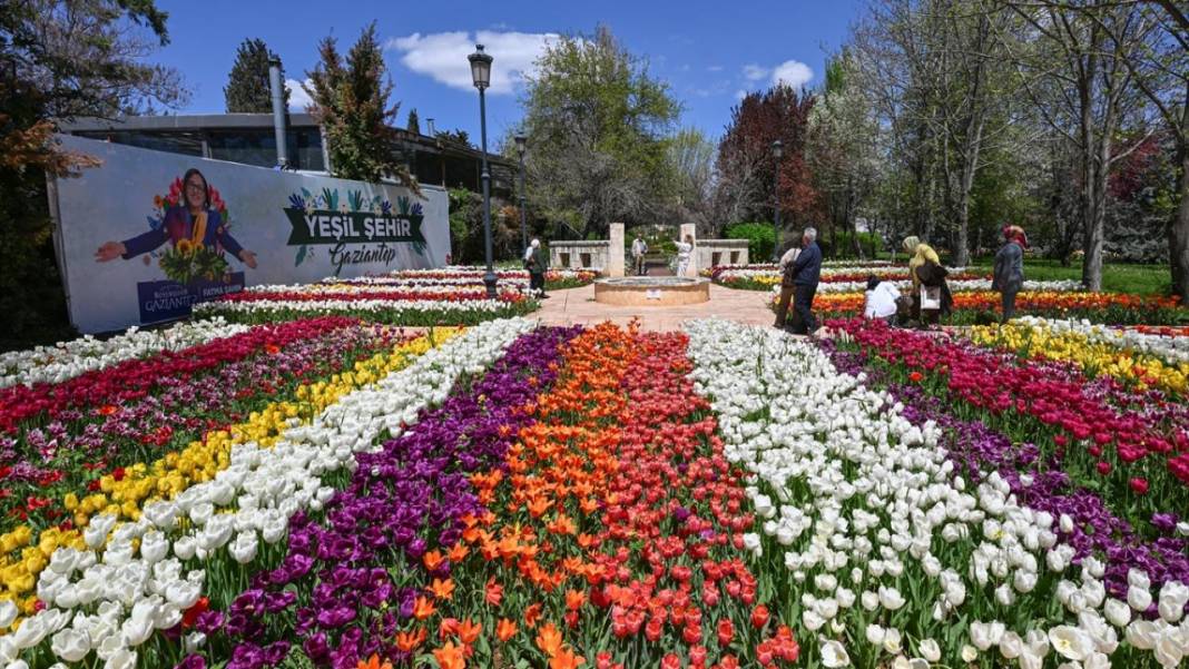 Gaziantep Botanik Bahçesi'nde ilkbahar tefekkürü 13