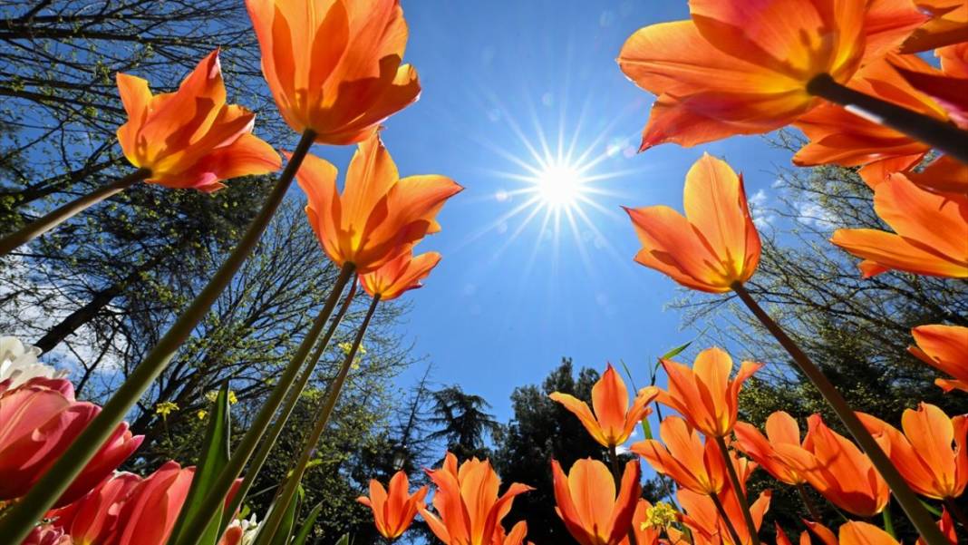 Gaziantep Botanik Bahçesi'nde ilkbahar tefekkürü 14