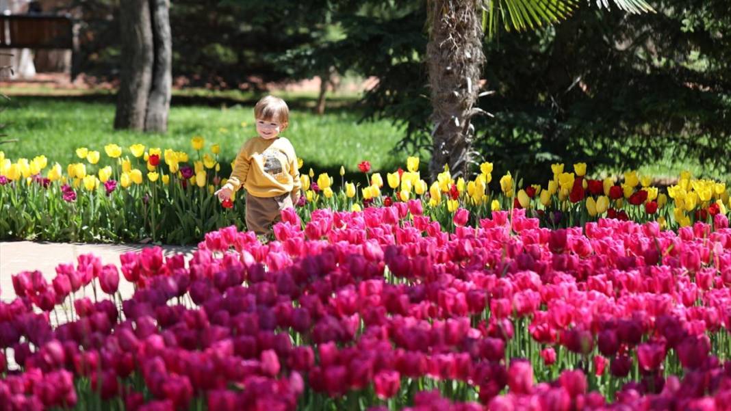 Gaziantep Botanik Bahçesi'nde ilkbahar tefekkürü 5