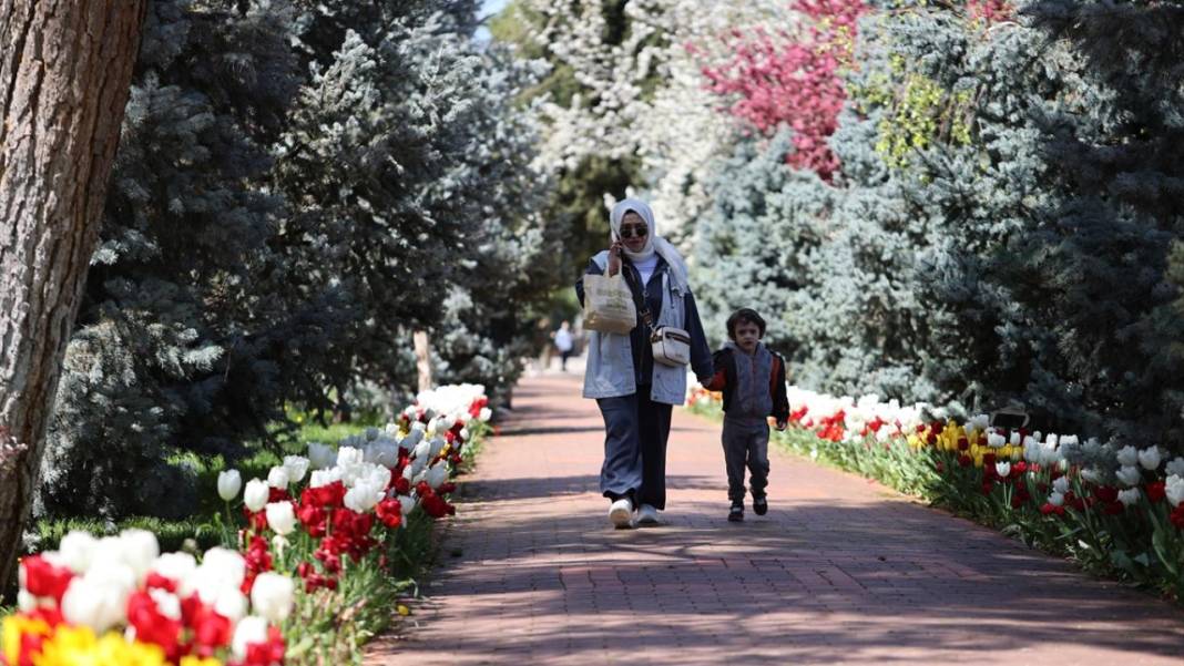 Gaziantep Botanik Bahçesi'nde ilkbahar tefekkürü 6