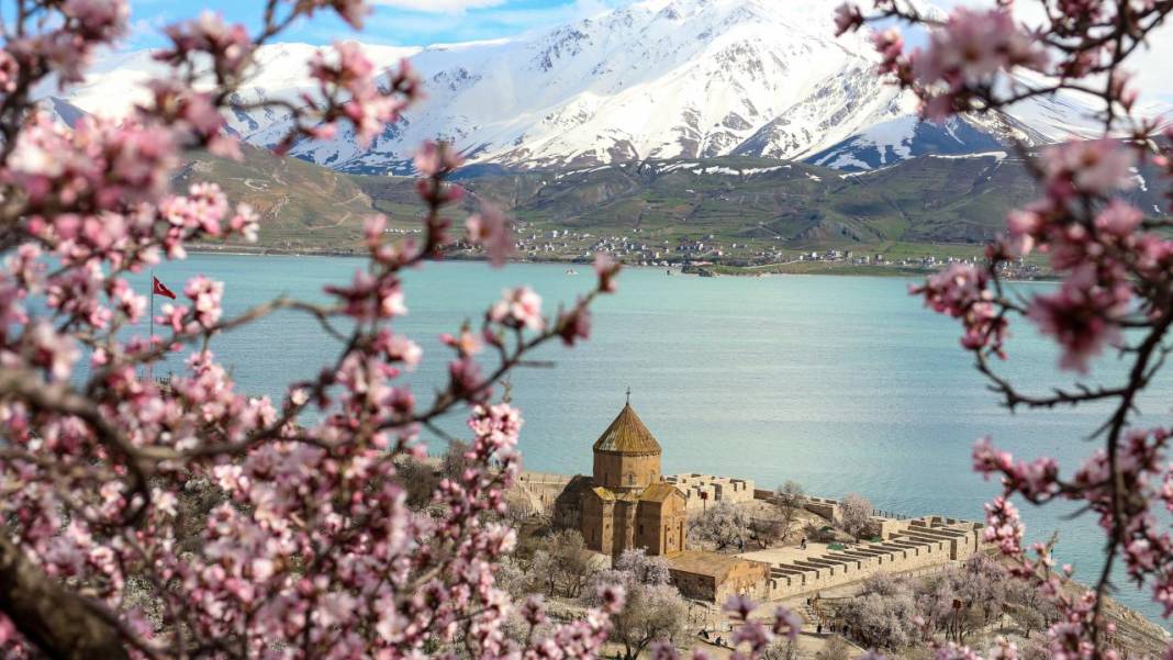 Bir yanda kar, bir yanda çiçek: Akdamar 6