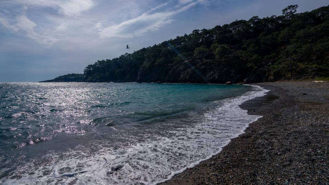 Mavi ve yeşili ile 'Cennet Koyu' 15