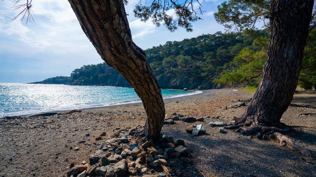 Mavi ve yeşili ile 'Cennet Koyu' 8