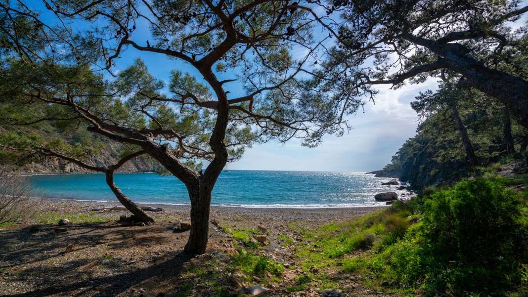 Mavi ve yeşili ile 'Cennet Koyu' 9