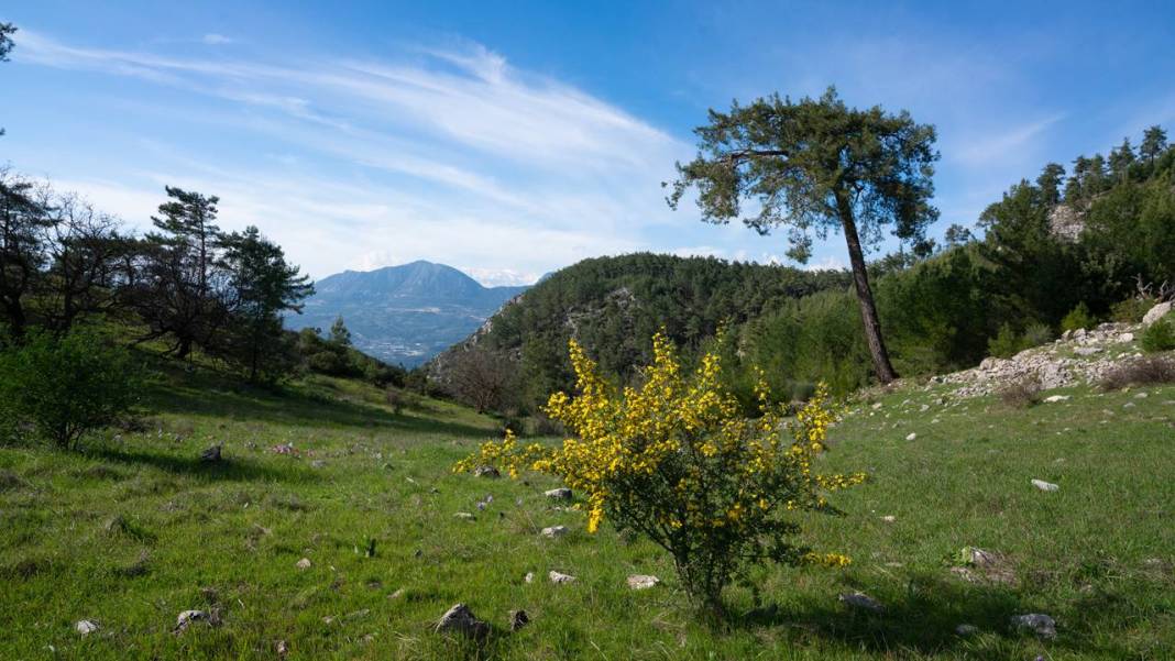 İlkbaharın en güzel yaşandığı mekanlardan biri: Yaylalık 11