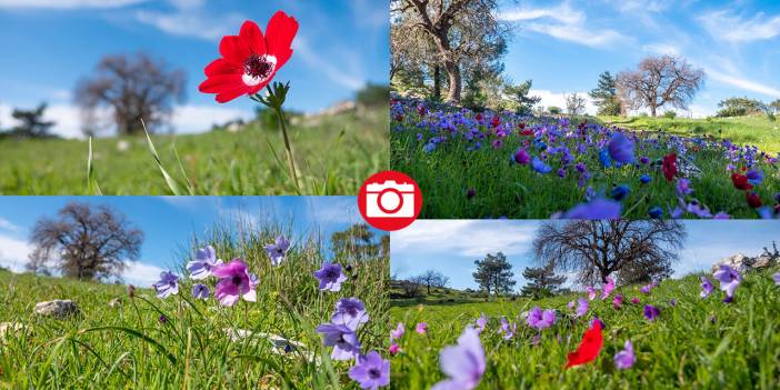 İlkbaharın en güzel yaşandığı mekanlardan biri: Yaylalık