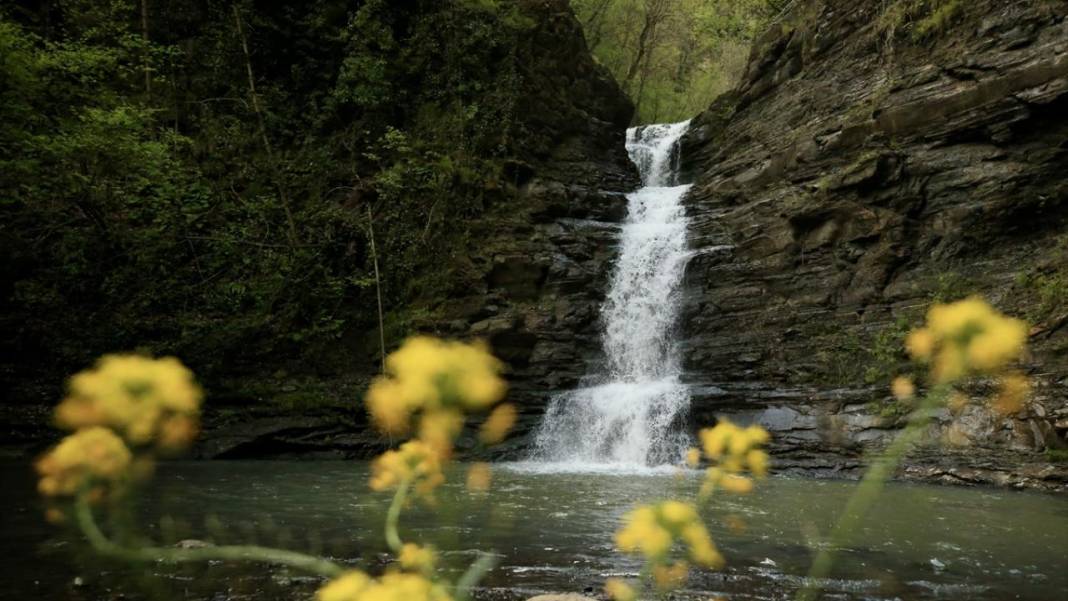 Kabaceviz Şelaleleri baharla yeşil örtüsüne kavuştu 2