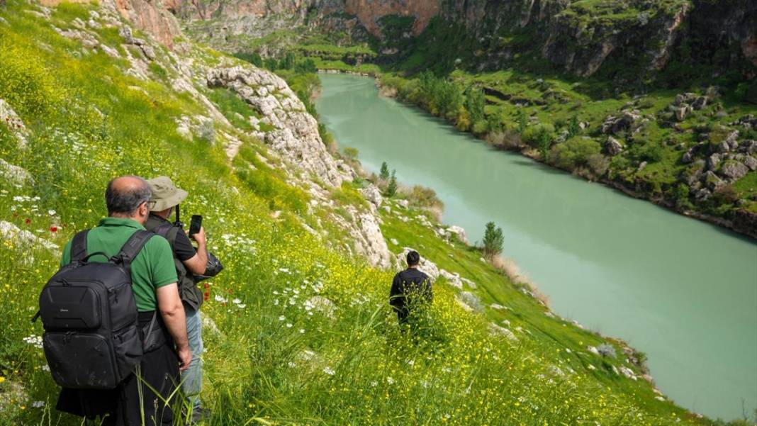İlkbahar ile Kızılin Kanyonu çok daha güzelleştirildi 10