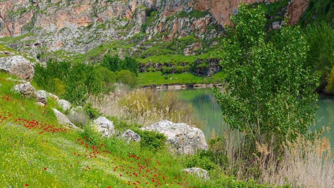İlkbahar ile Kızılin Kanyonu çok daha güzelleştirildi 11