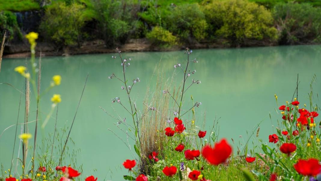 İlkbahar ile Kızılin Kanyonu çok daha güzelleştirildi 4