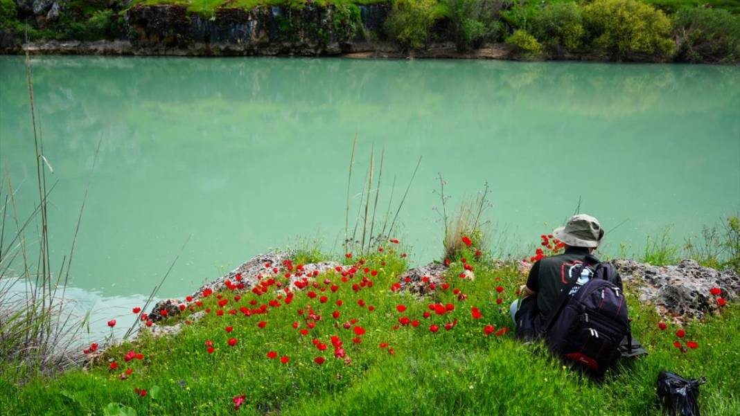 İlkbahar ile Kızılin Kanyonu çok daha güzelleştirildi 6
