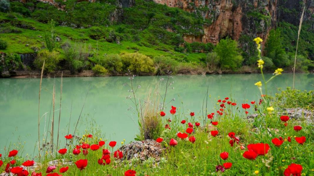 İlkbahar ile Kızılin Kanyonu çok daha güzelleştirildi 7