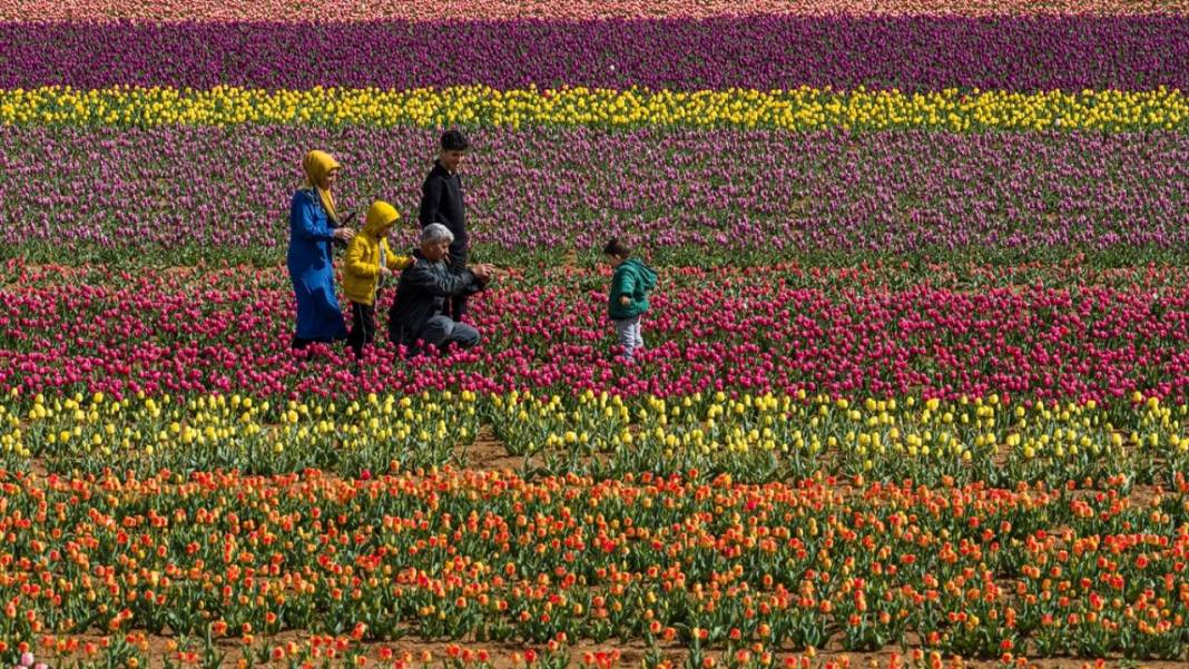 Karaman’da lale bahçeleri ziyarete açıldı 3