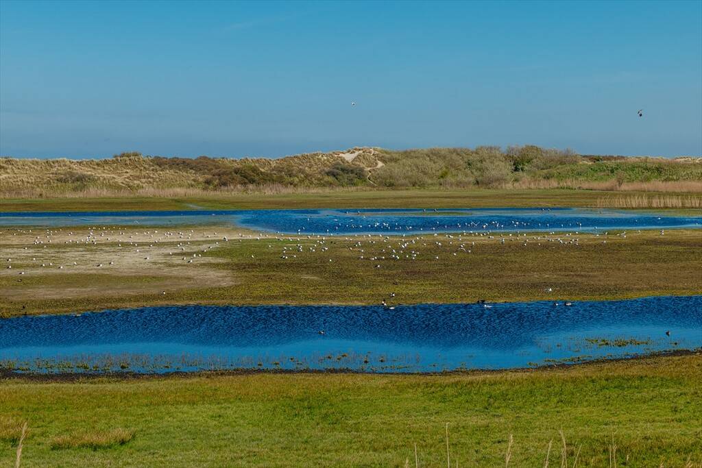 Hollanda’nın sakin rotası: Texel Adası 15
