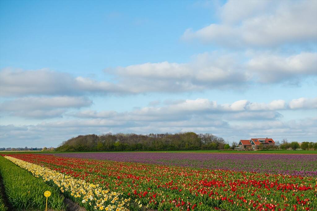 Hollanda’nın sakin rotası: Texel Adası 2