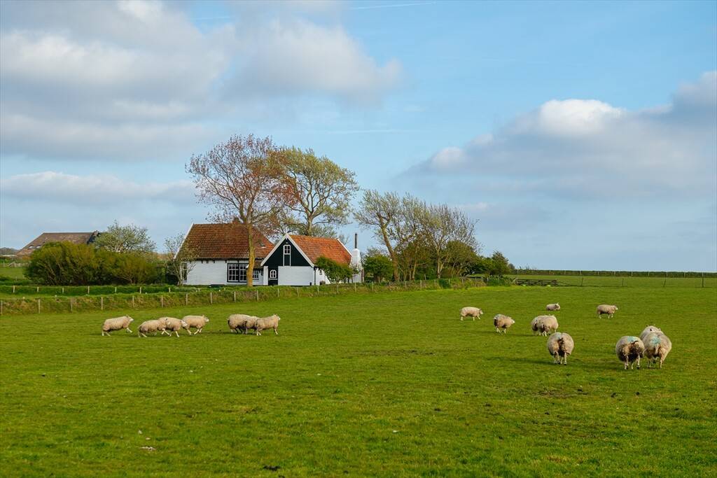Hollanda’nın sakin rotası: Texel Adası 5