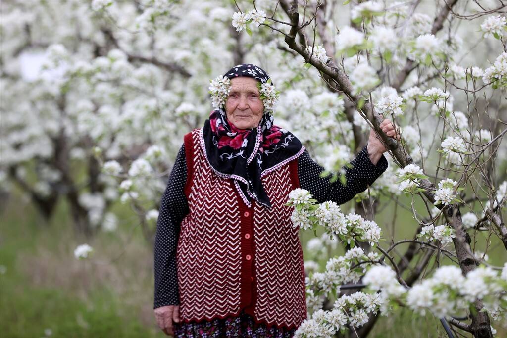 Meyve ağaçlarının çiçek açmasıyla bahçeler beyaza büründü 5