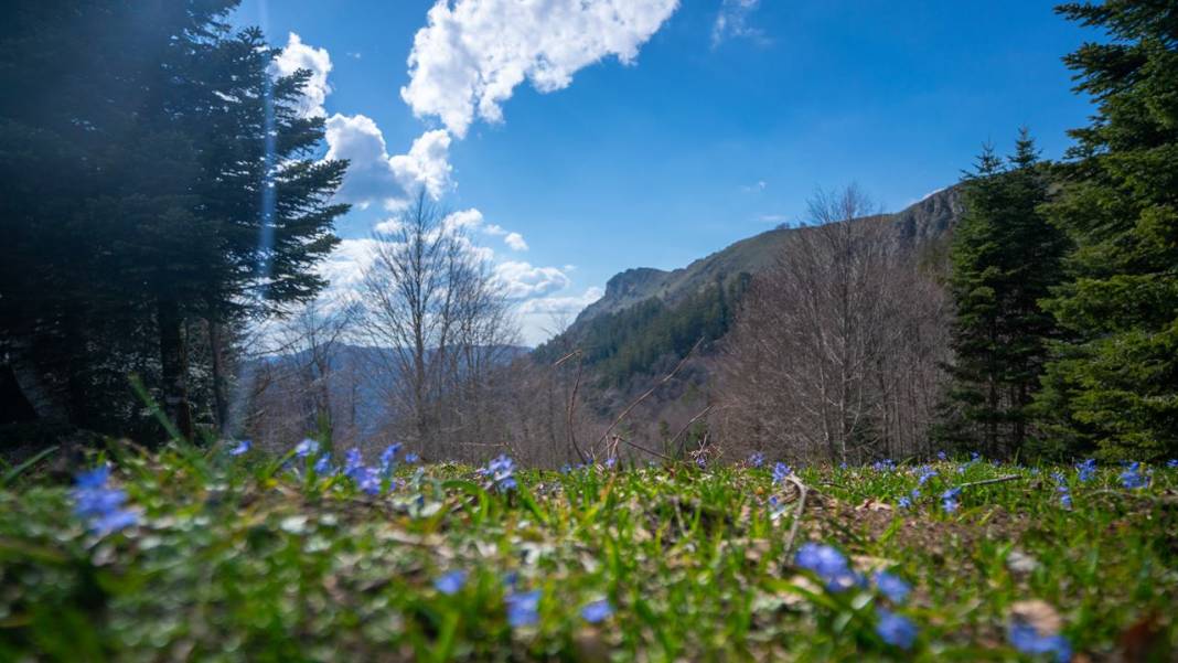 Bolu Yedigöller ziyarete açıldı 10