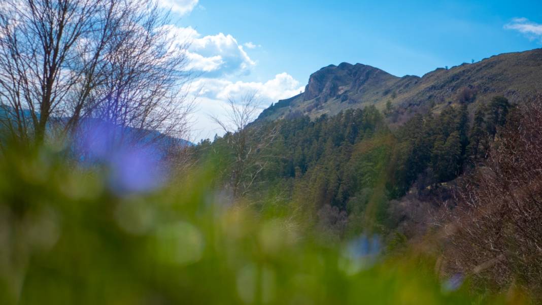 Bolu Yedigöller ziyarete açıldı 5
