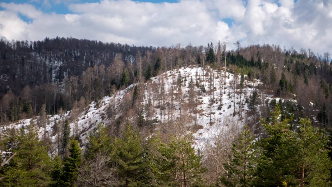 Bolu Yedigöller ziyarete açıldı 6