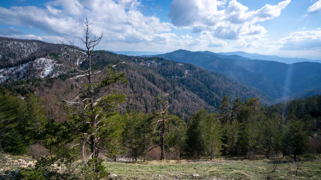 Bolu Yedigöller ziyarete açıldı 7