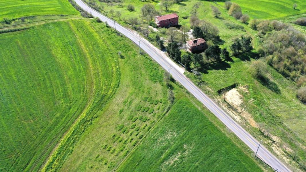 'Eski İstanbul Yolu' ilkbahar manzarasıyla alternatif gezi rotası oldu 12