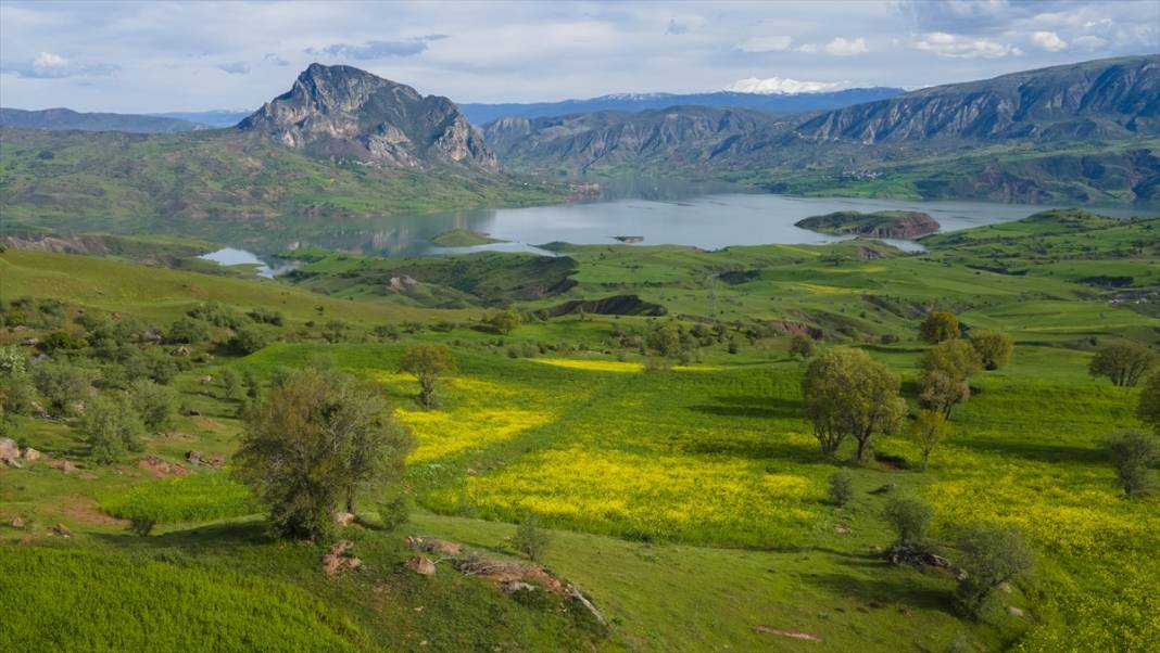 Şebinkarahisar ilkbahar renklerine büründü 9