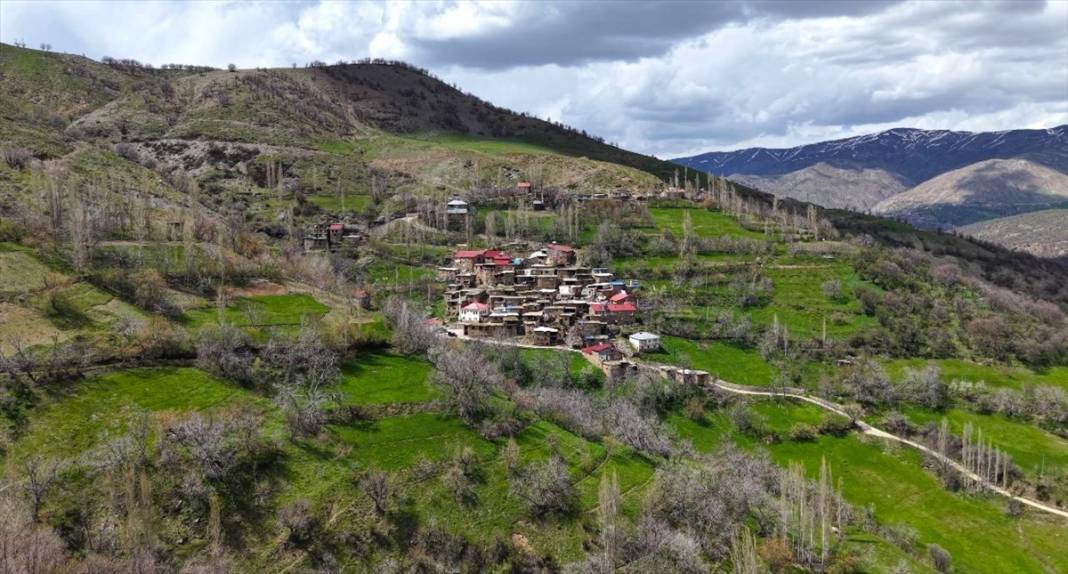 Hizan'ın asırlık taş evleri 1