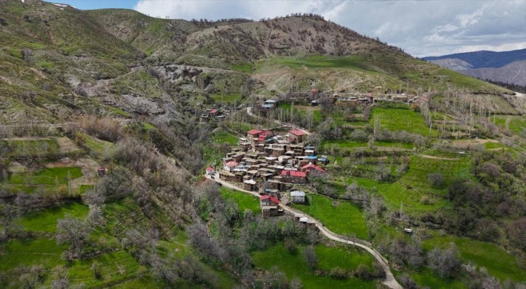 Hizan'ın asırlık taş evleri 15