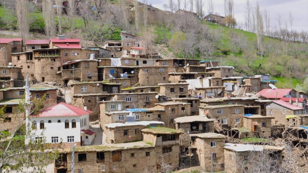 Hizan'ın asırlık taş evleri 3