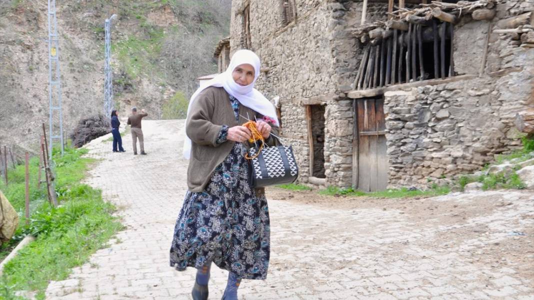 Hizan'ın asırlık taş evleri 7