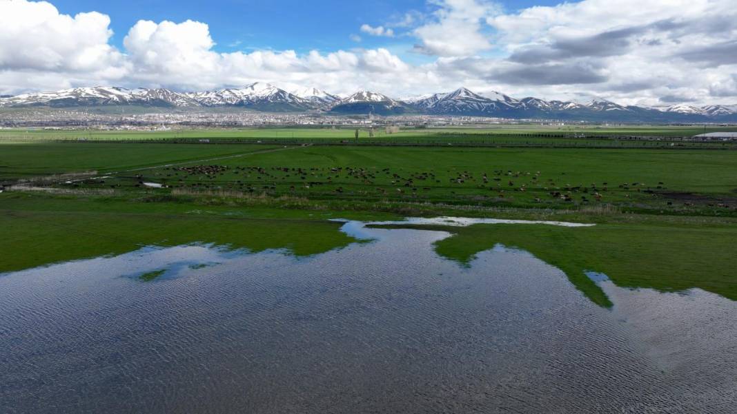 Erzurum'da kış ve bahar bir arada 1