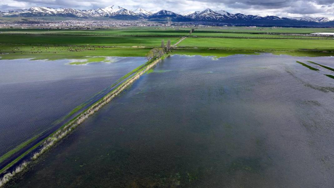 Erzurum'da kış ve bahar bir arada 2