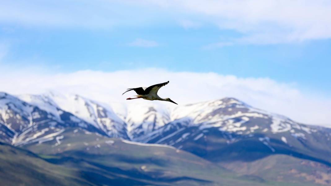 Erzurum'da kış ve bahar bir arada 3