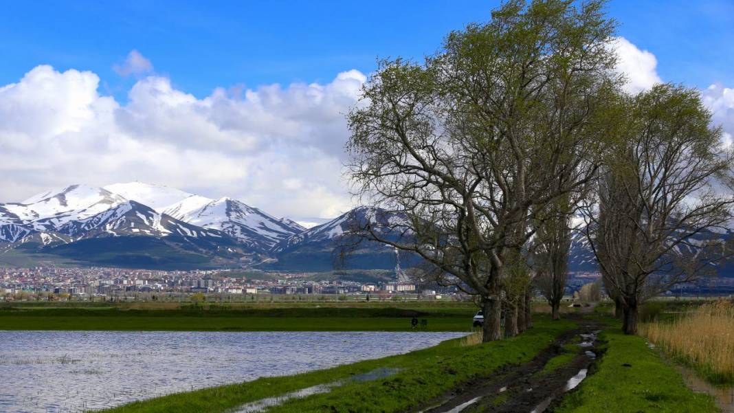 Erzurum'da kış ve bahar bir arada 4