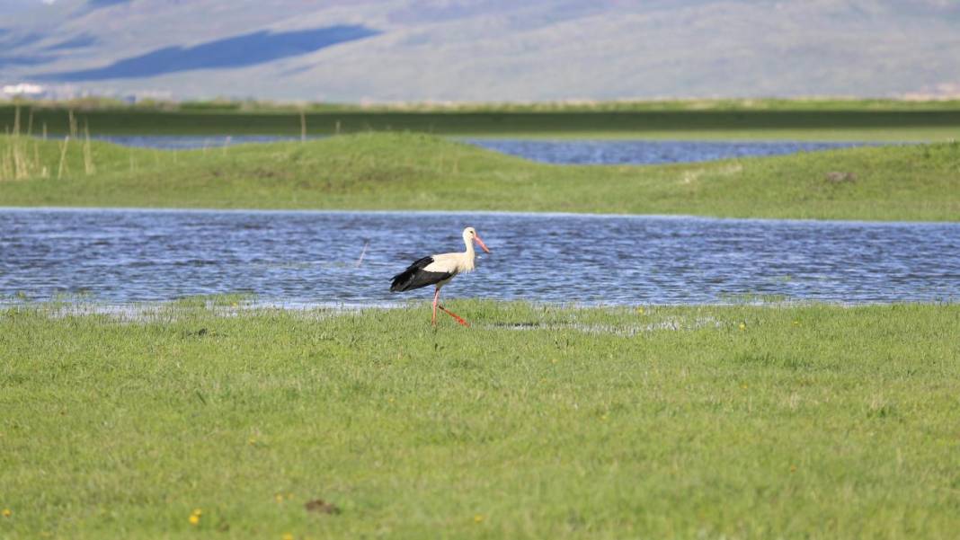 Erzurum'da kış ve bahar bir arada 5