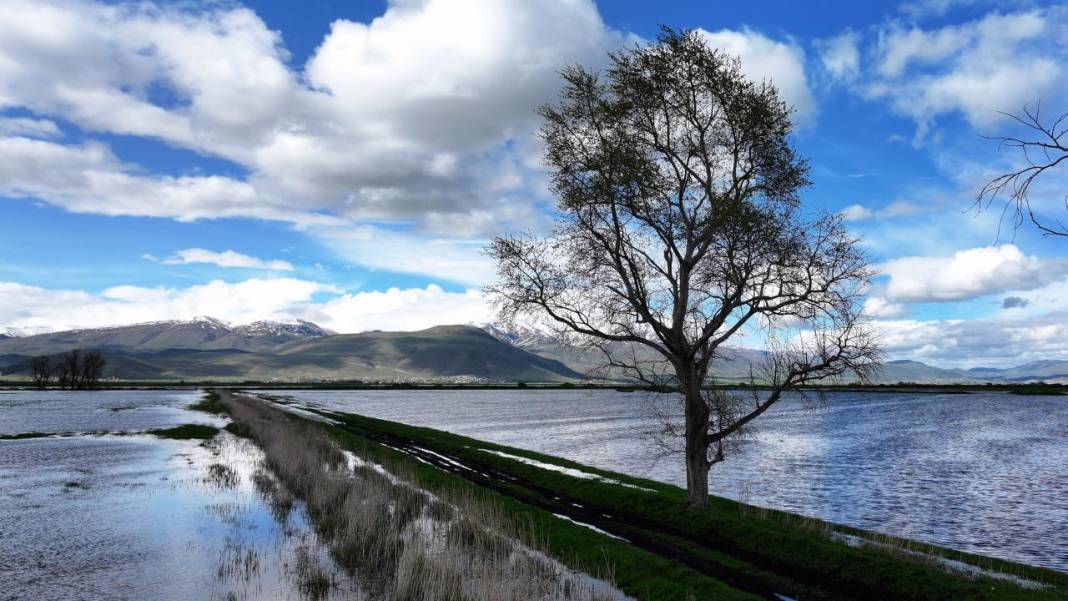 Erzurum'da kış ve bahar bir arada 8