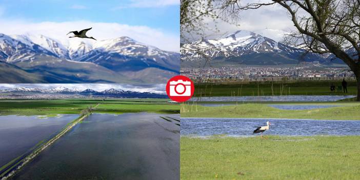 Erzurum'da kış ve bahar bir arada