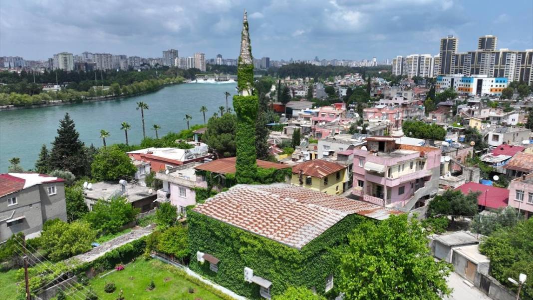 Adana'nın sarmaşık kaplı camisi 1