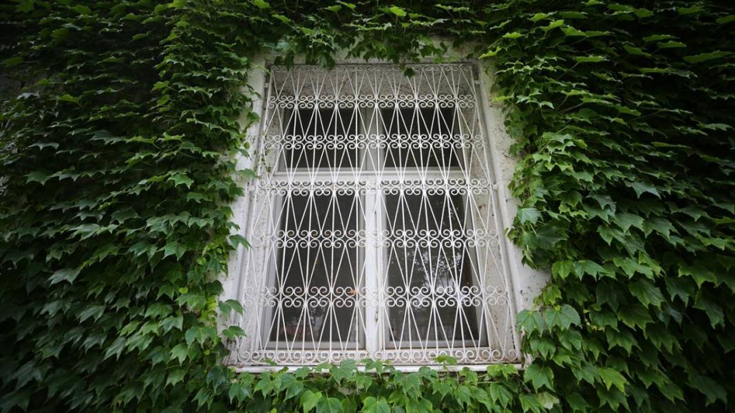 Adana'nın sarmaşık kaplı camisi 11