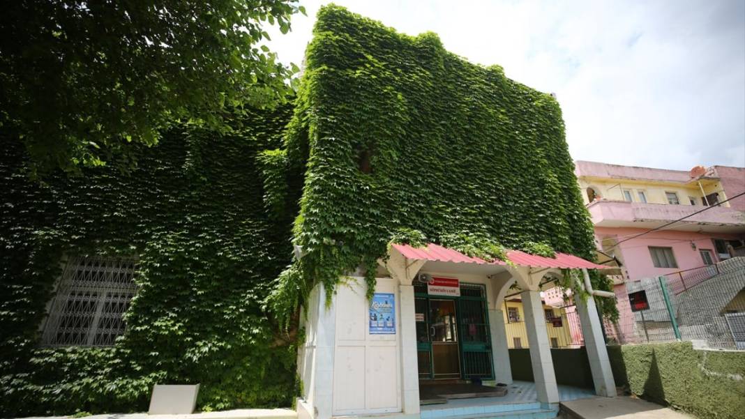 Adana'nın sarmaşık kaplı camisi 15