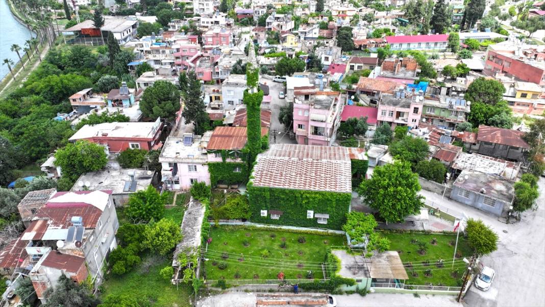 Adana'nın sarmaşık kaplı camisi 2