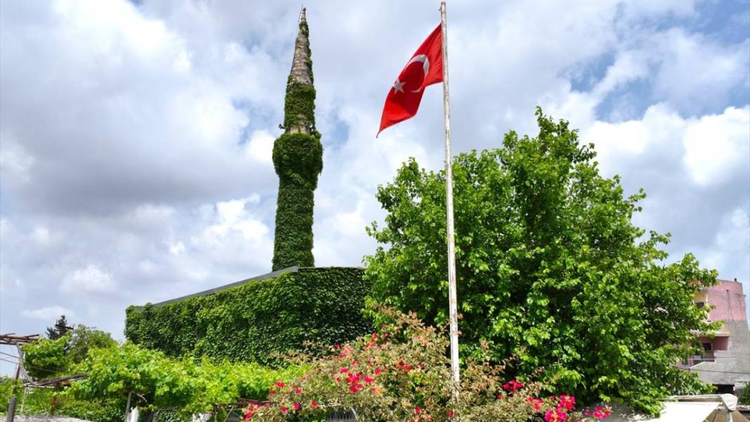 Adana'nın sarmaşık kaplı camisi 3