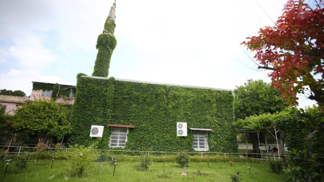 Adana'nın sarmaşık kaplı camisi 4
