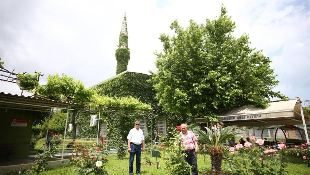 Adana'nın sarmaşık kaplı camisi 8
