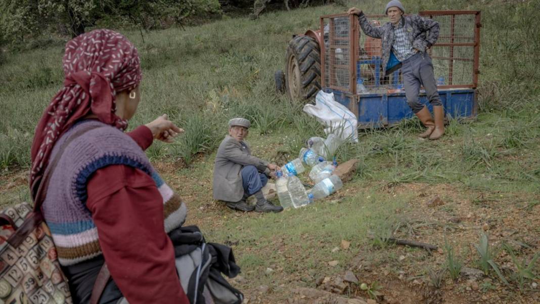 Sürülerin karada başlayan, denizde devam eden sıra dışı yolculuğu 19