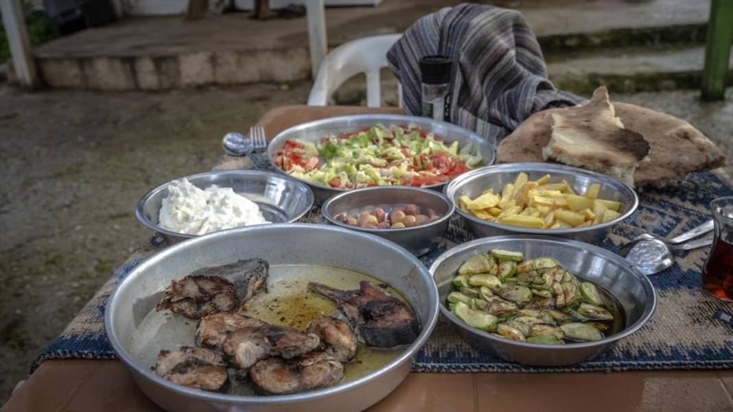 Sürülerin karada başlayan, denizde devam eden sıra dışı yolculuğu 20