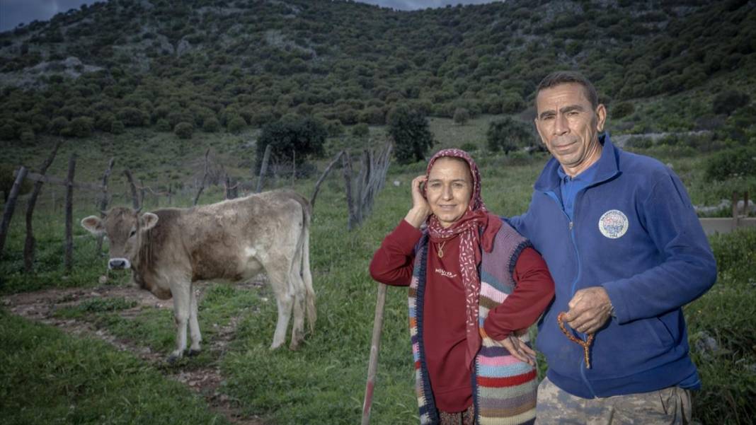 Sürülerin karada başlayan, denizde devam eden sıra dışı yolculuğu 21